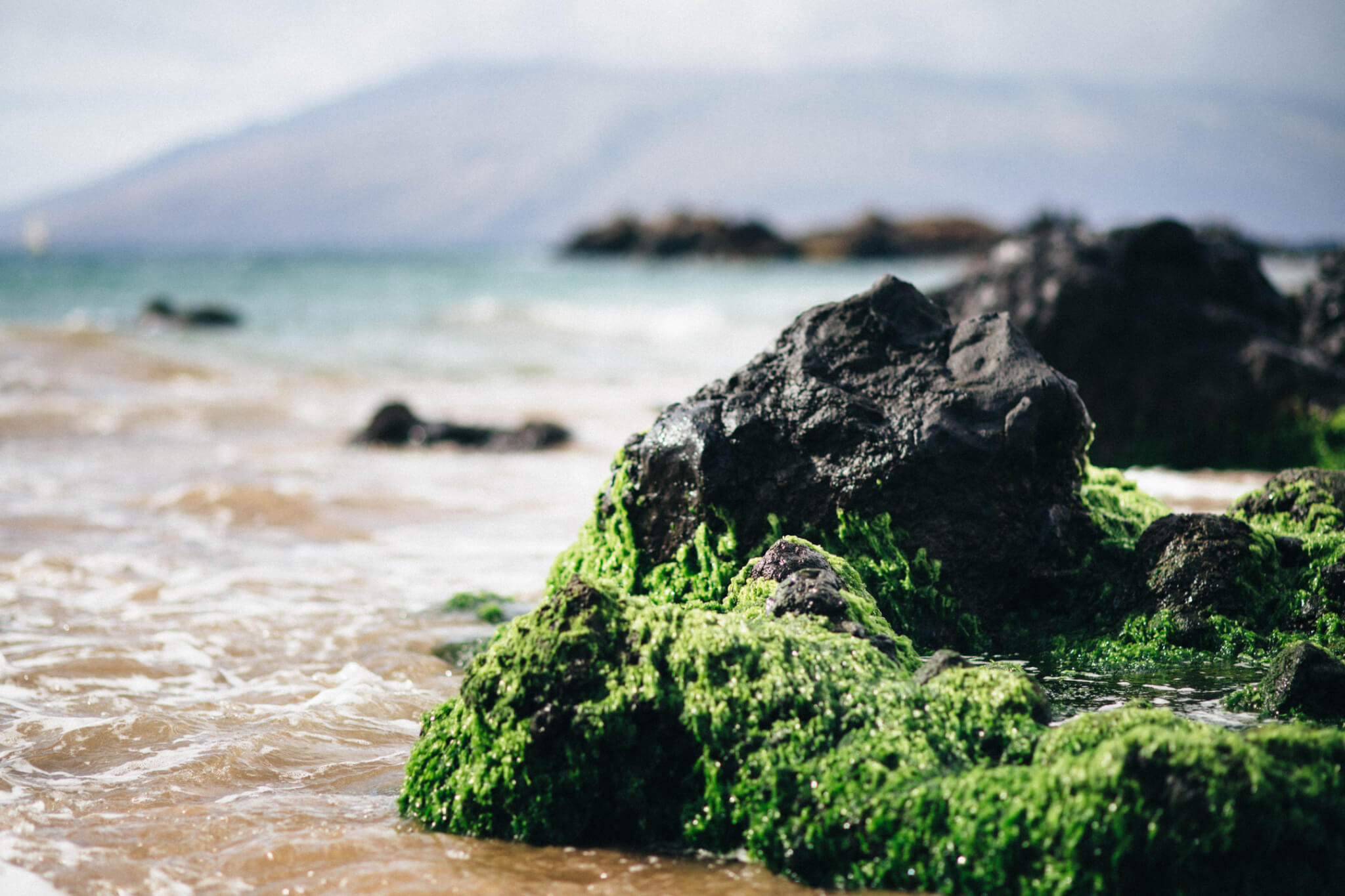 Land and sea: nature in Maui