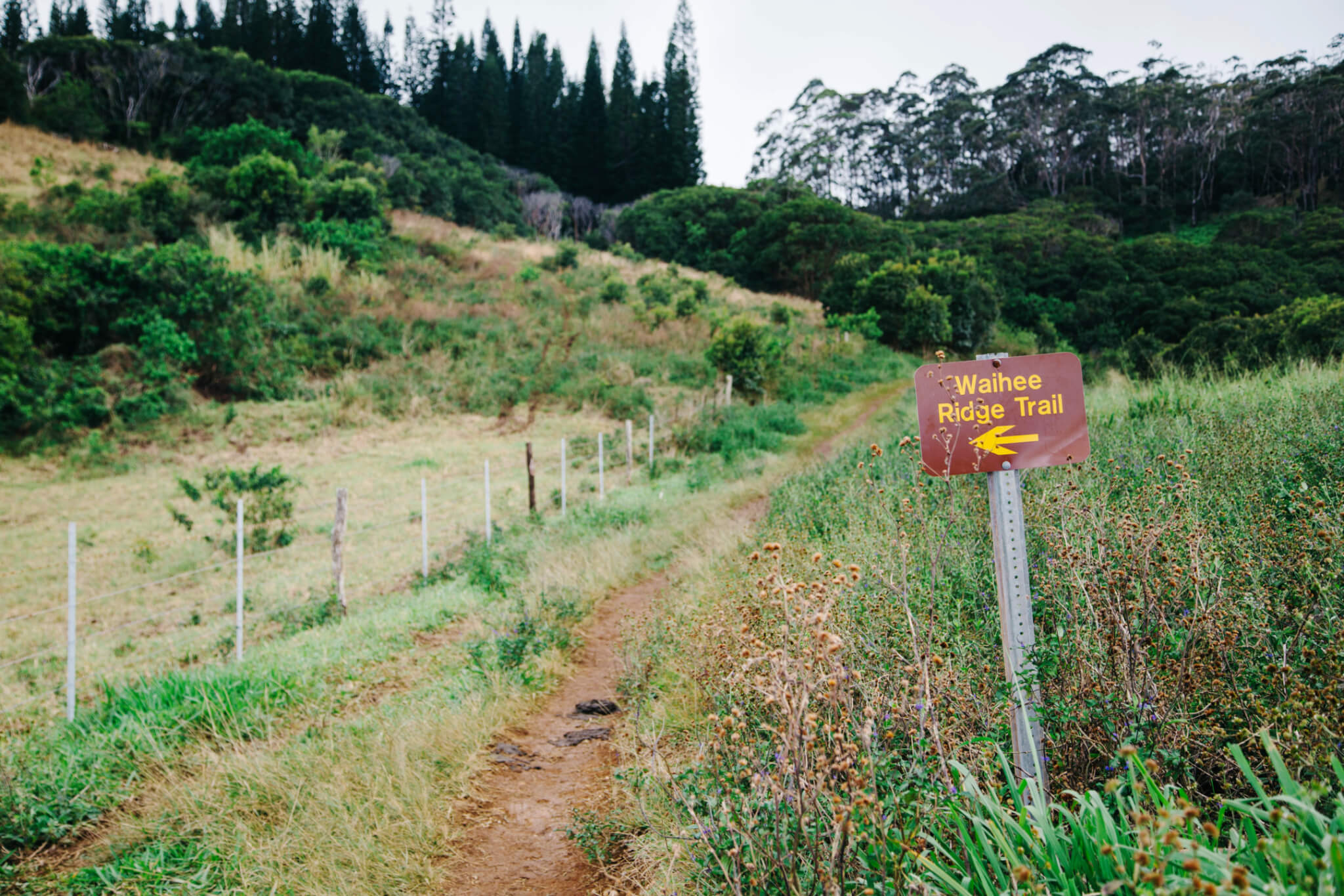 Sign to Waihe'e Ridge on Maui, Hawaii