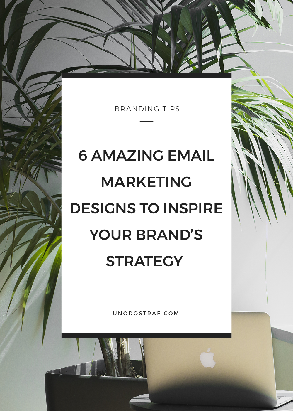 Get inspired by these 6 beautifully done email marketing campaigns.